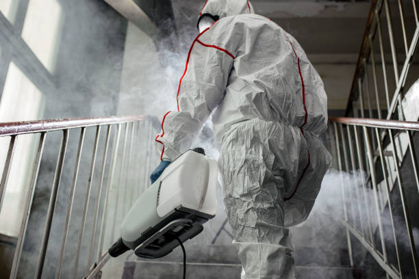 Best Mold Removal for HVAC Installations  in Arlington, VA